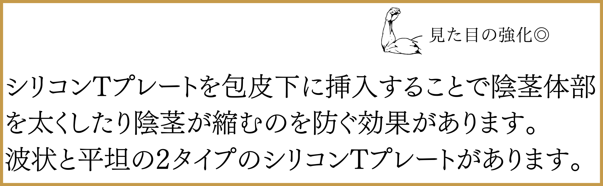 シリコンTプレート