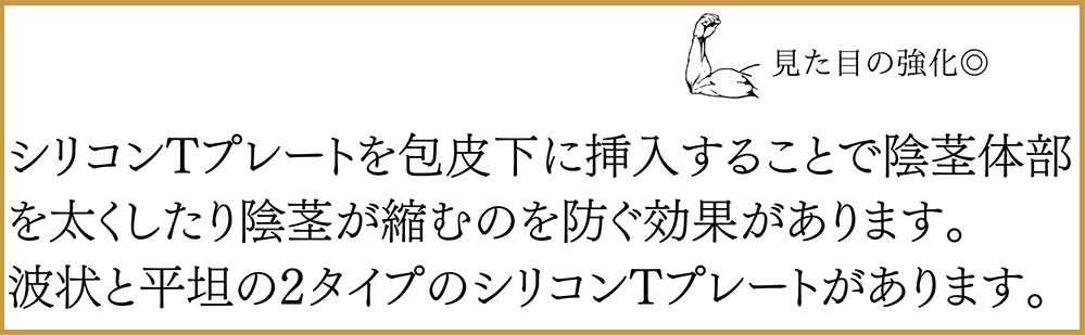 シリコンTプレート